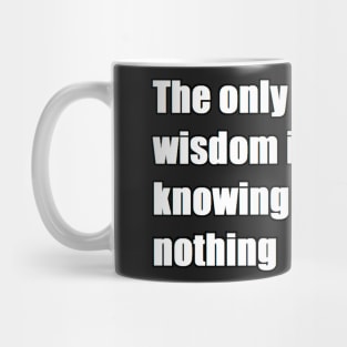 The only true wisdom is in knowing you know nothing Mug